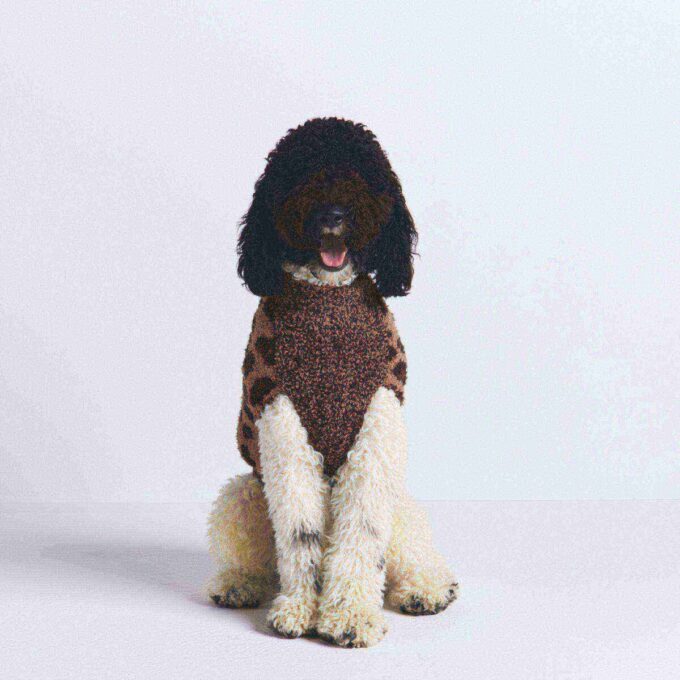 COZY KNIT PET SWEATER