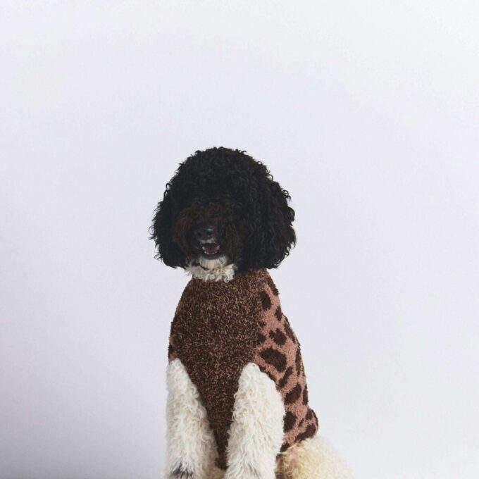 COZY KNIT PET SWEATER