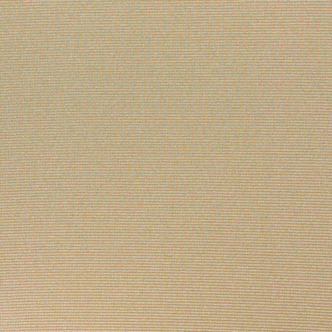 SKIMS BODY CORE SCULPT WAIST CINCHER THONG SKIMS BODY CORE SCULPT WAIST CINCHER THONG