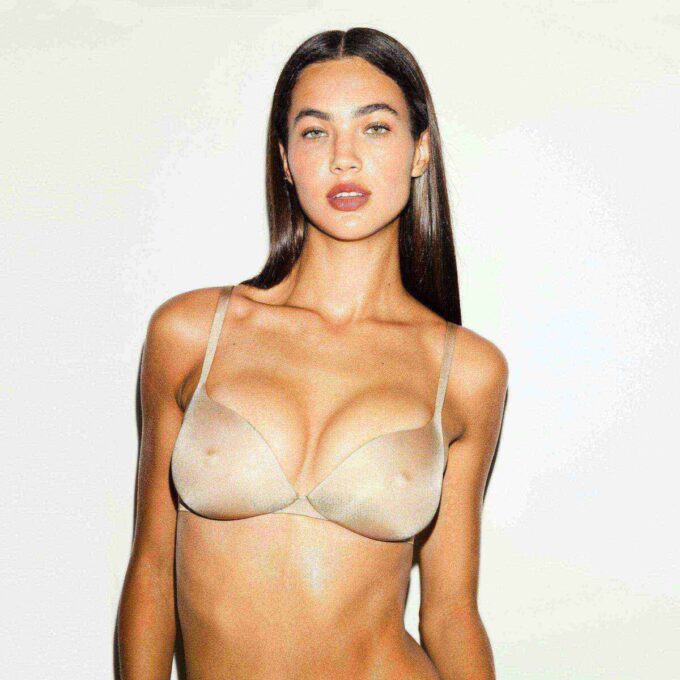 SKIMS ULTIMATE NIPPLE WIRELESS PUSH-UP BRA