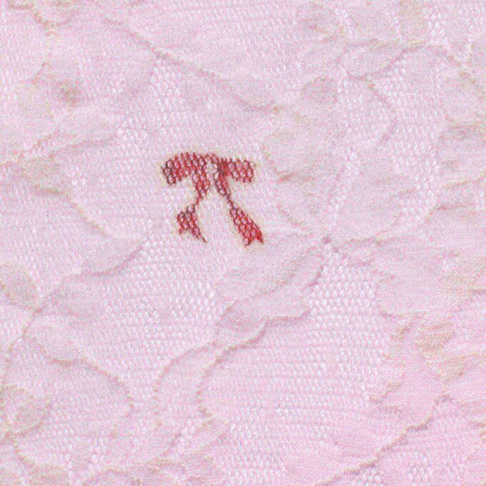 STRETCH LACE SLIP AND THONG SET